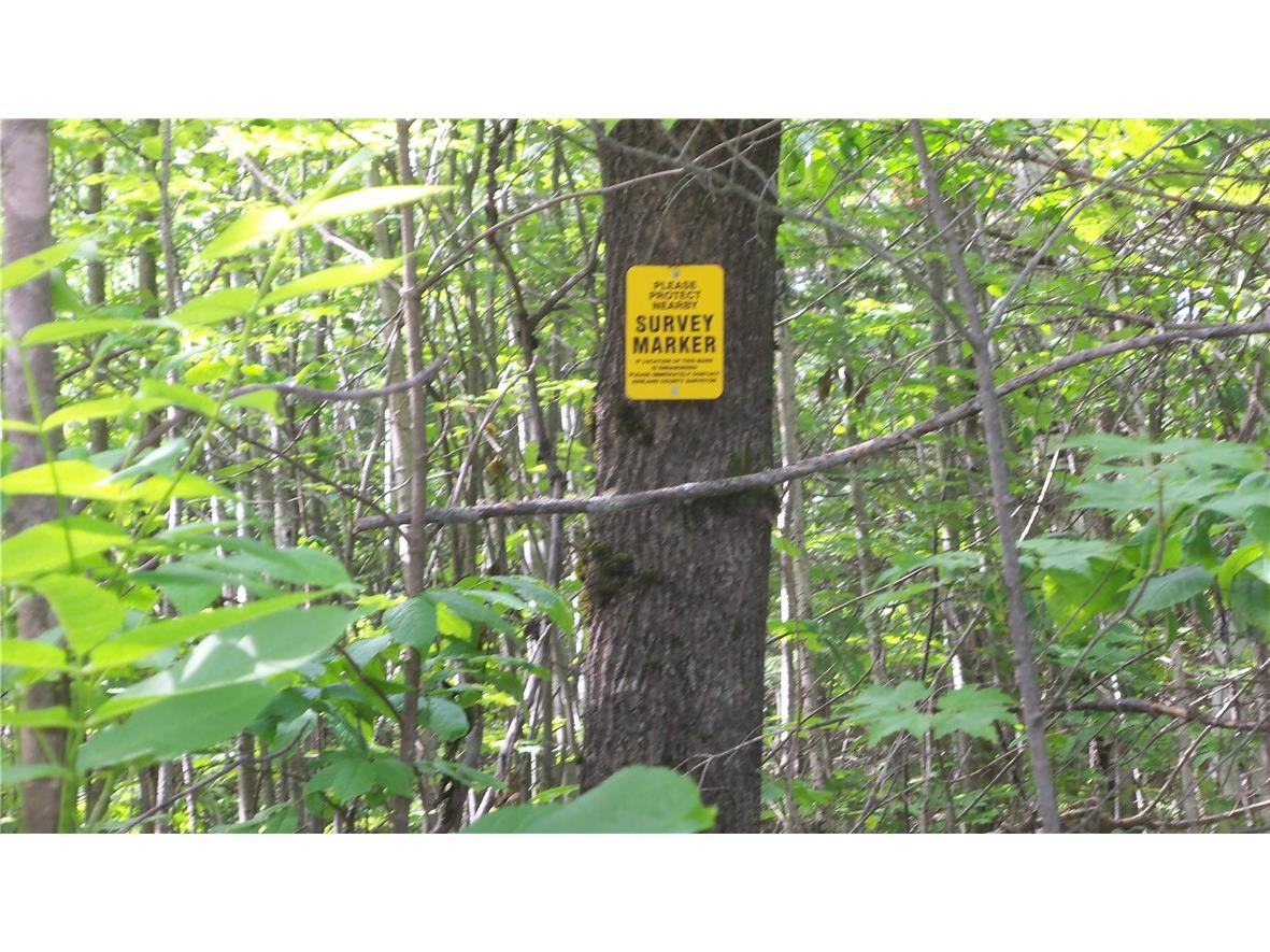 90 ACRES Kornstead Road Mellen WI 54546 1584791 image21