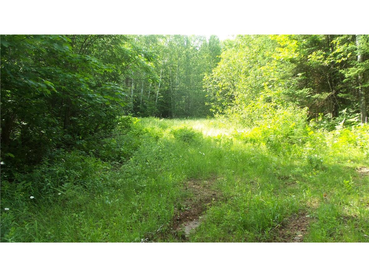 90 ACRES Kornstead Road Mellen WI 54546 1584791 image24