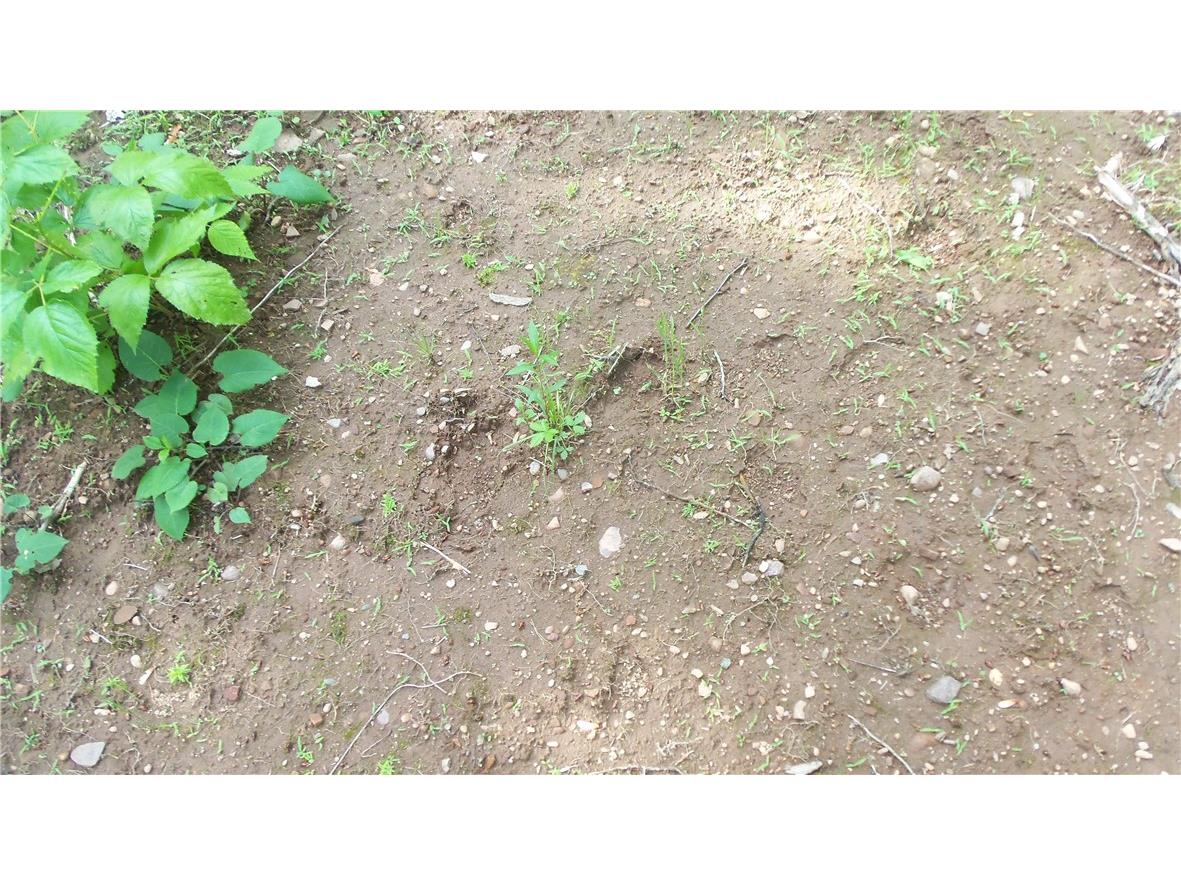 90 ACRES Kornstead Road Mellen WI 54546 1584791 image26