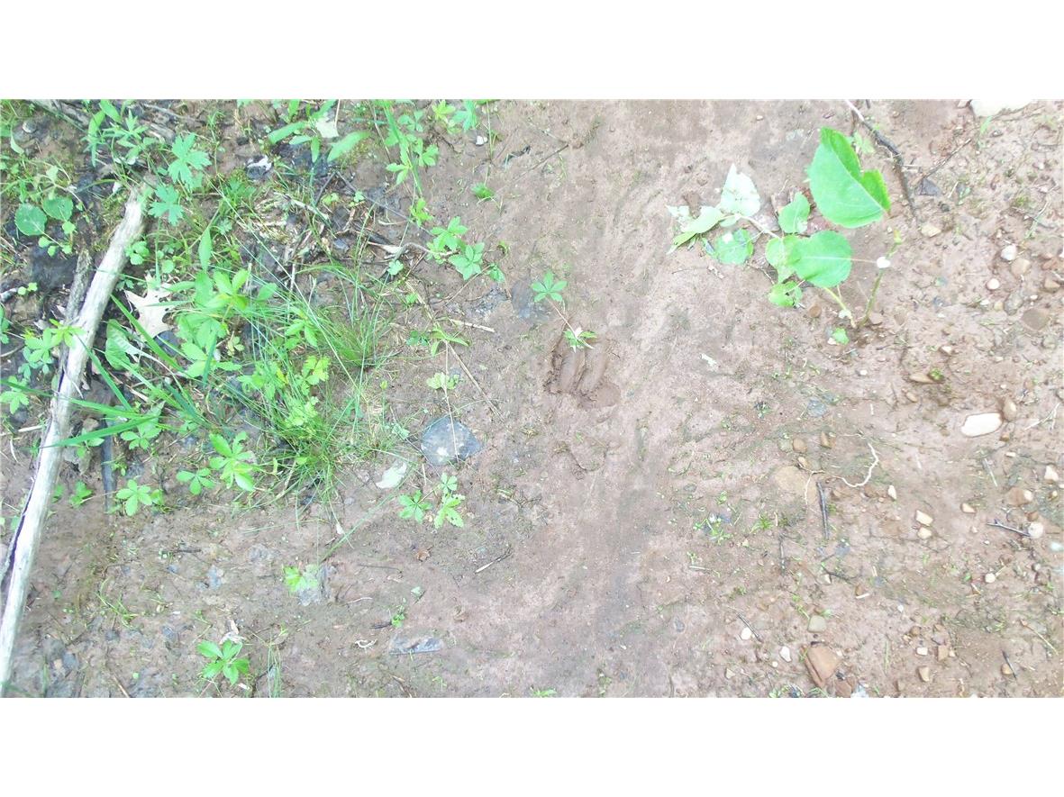 90 ACRES Kornstead Road Mellen WI 54546 1584791 image27