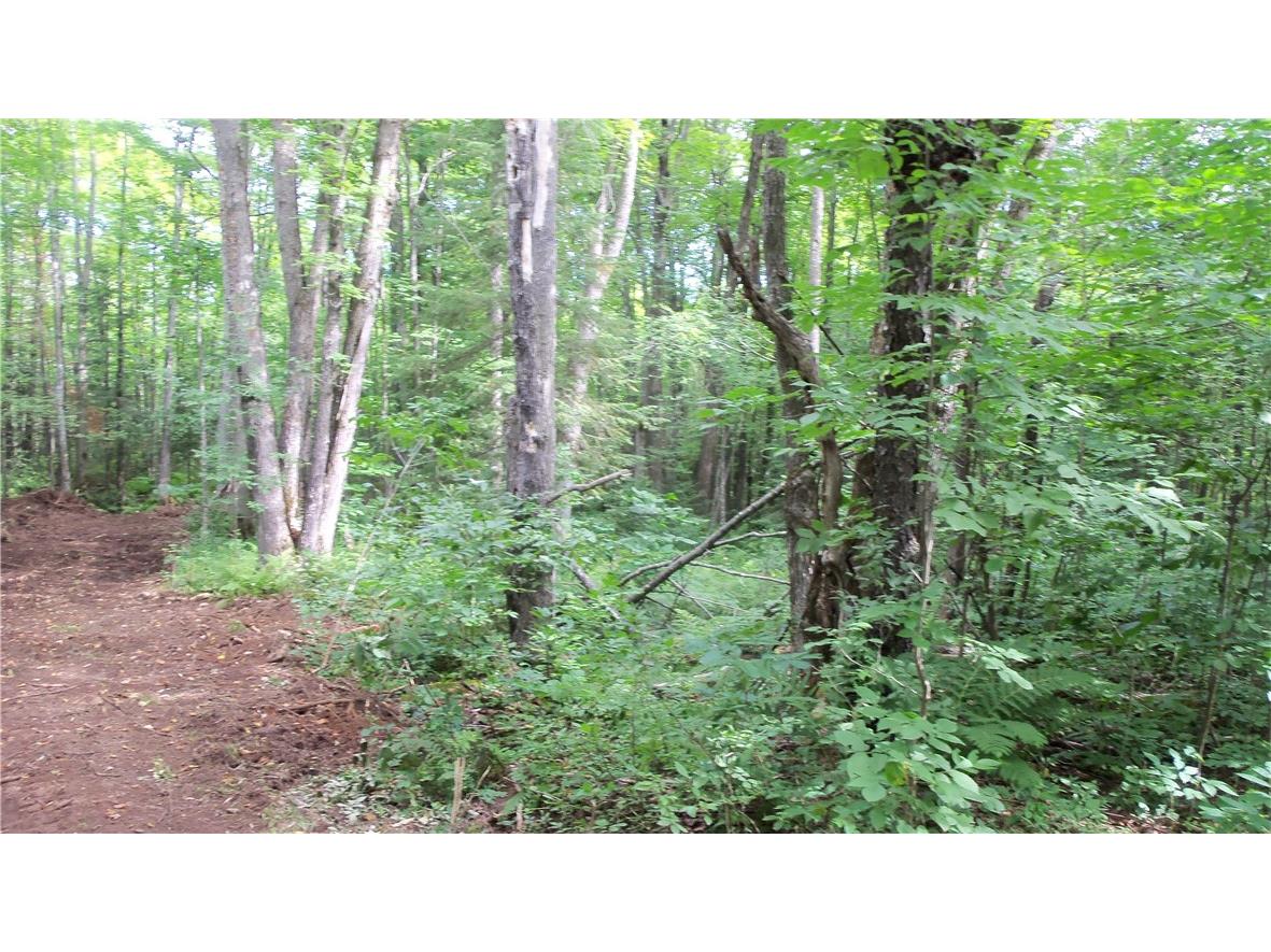 90 ACRES Kornstead Road Mellen WI 54546 1584791 image3