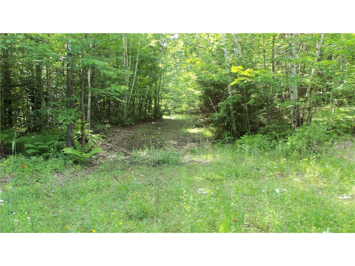 90 ACRES Kornstead Road Mellen WI 54546 1584791 image30