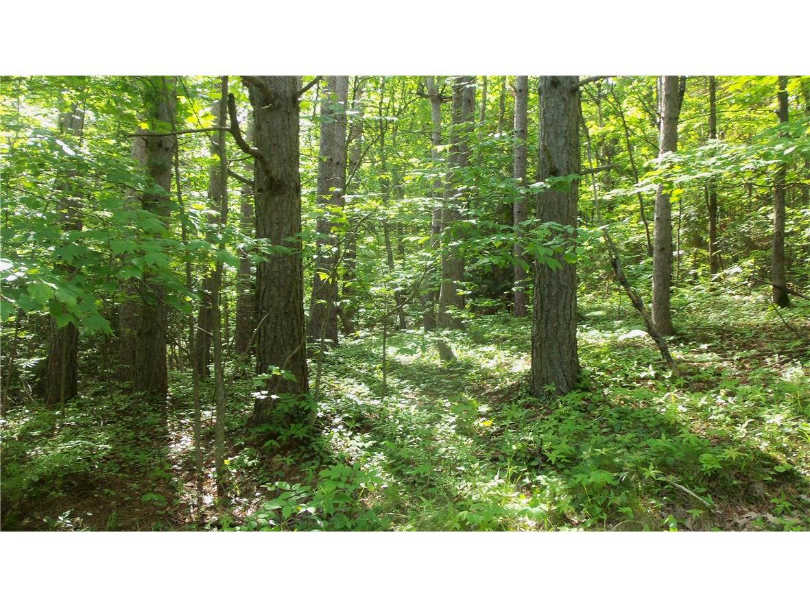 90 ACRES Kornstead Road Mellen WI 54546 1584791 image31