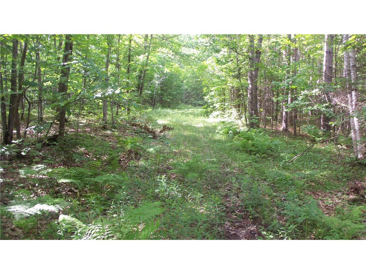 90 ACRES Kornstead Road Mellen WI 54546 1584791 image33