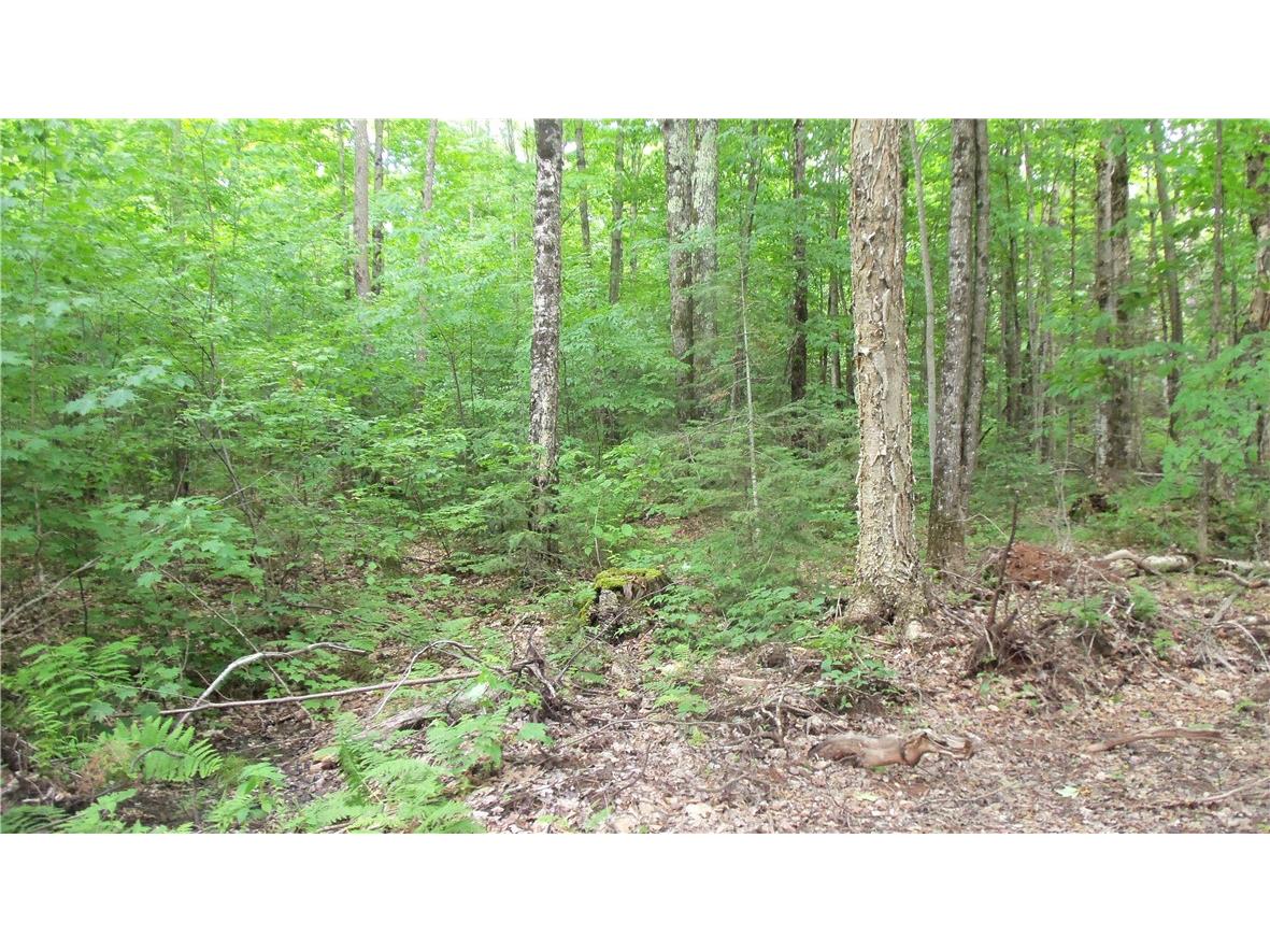 90 ACRES Kornstead Road Mellen WI 54546 1584791 image34