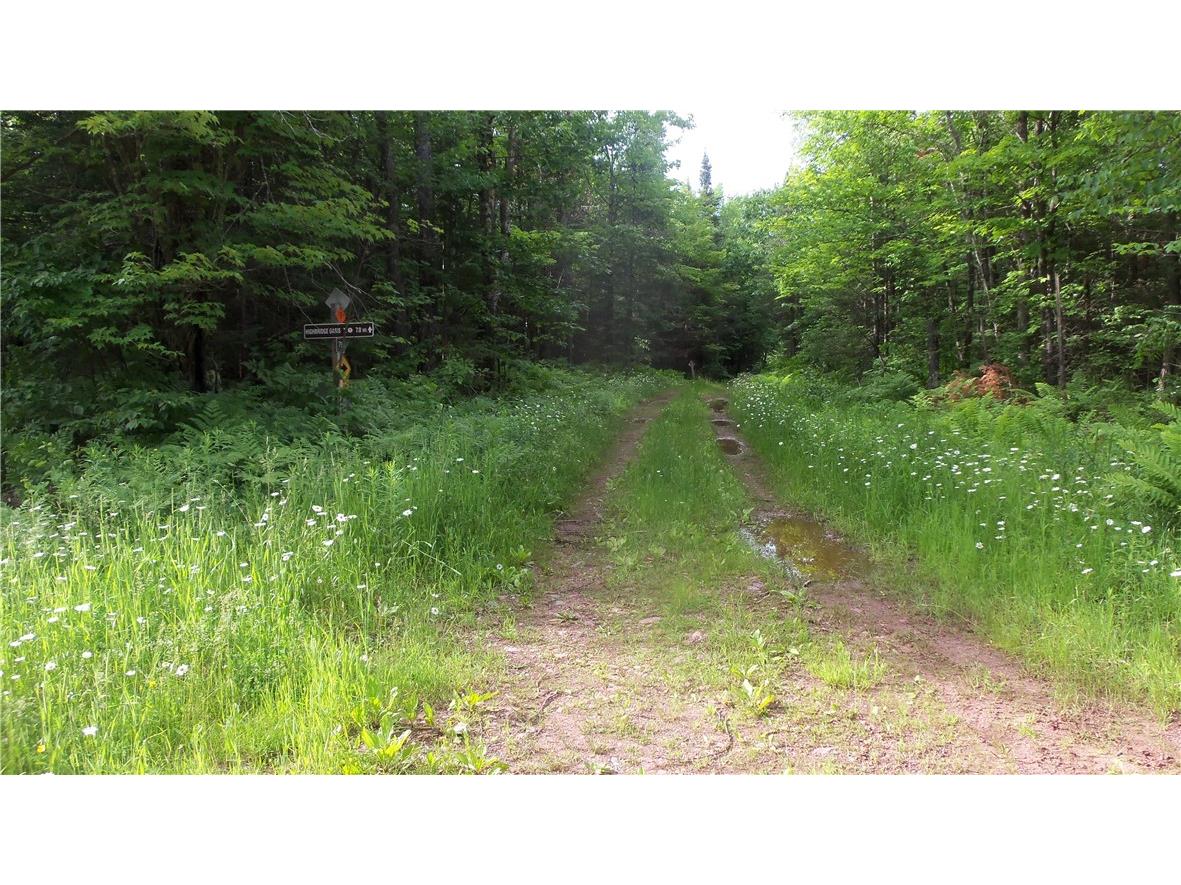 90 ACRES Kornstead Road Mellen WI 54546 1584791 image37