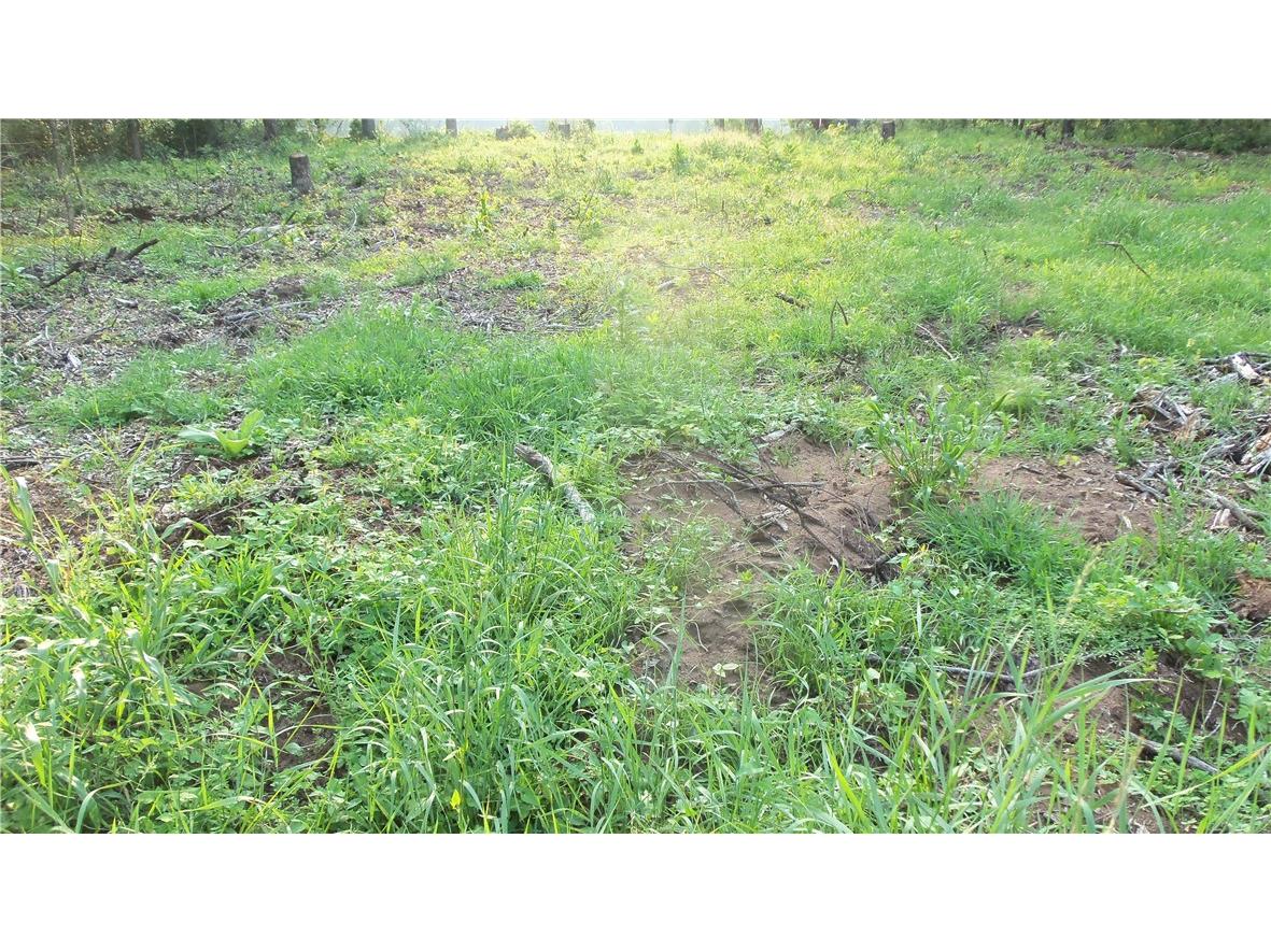 90 ACRES Kornstead Road Mellen WI 54546 1584791 image39