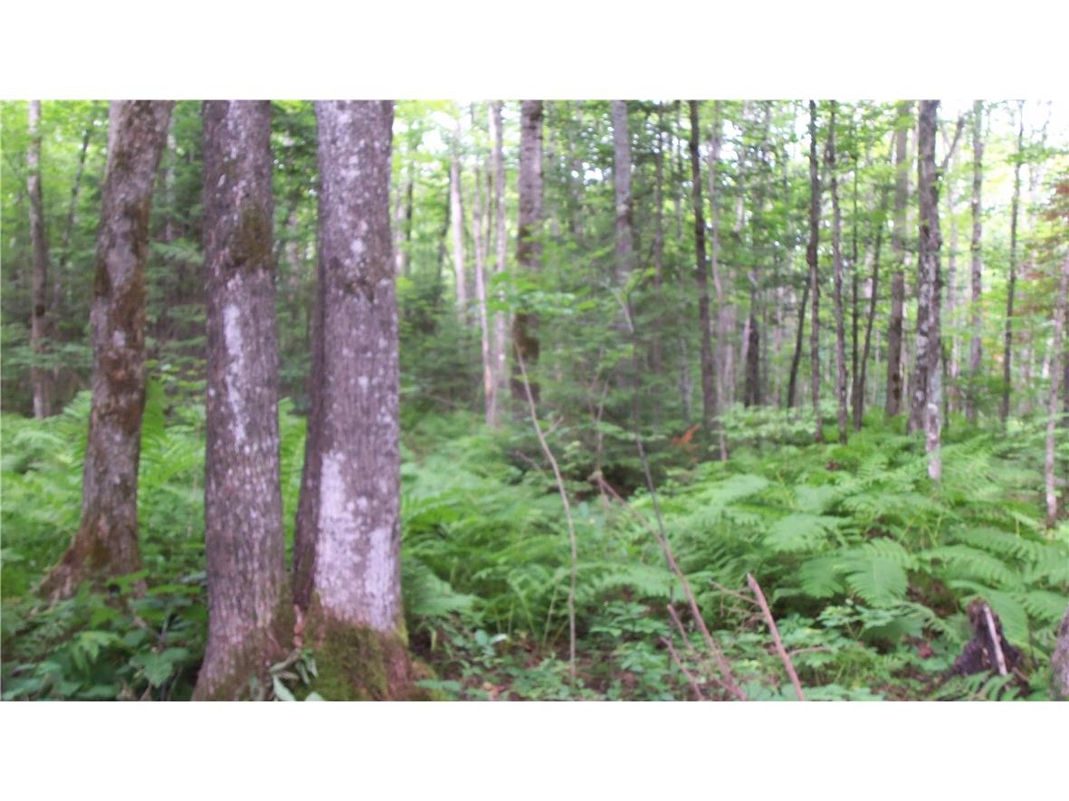 90 ACRES Kornstead Road Mellen WI 54546 1584791 image4