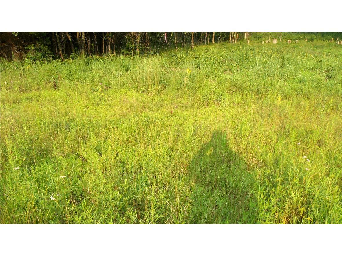 90 ACRES Kornstead Road Mellen WI 54546 1584791 image40