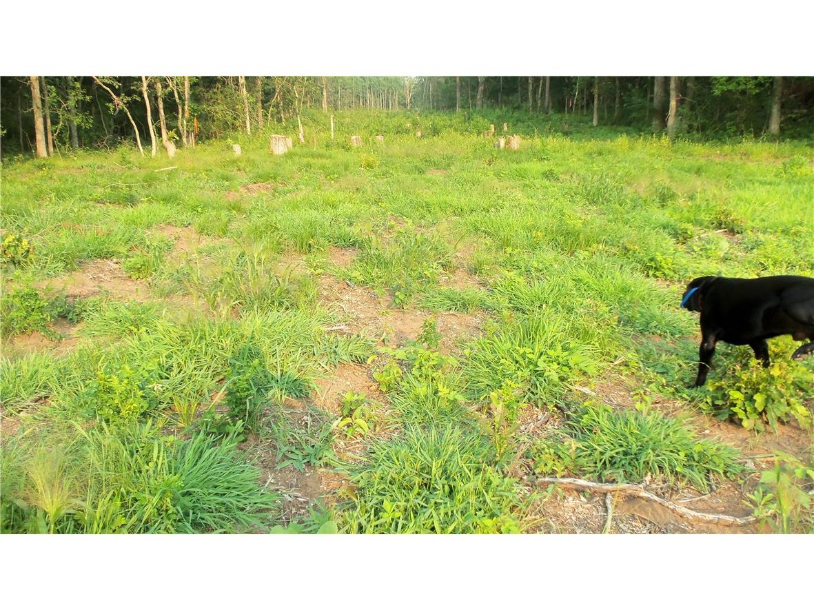 90 ACRES Kornstead Road Mellen WI 54546 1584791 image41