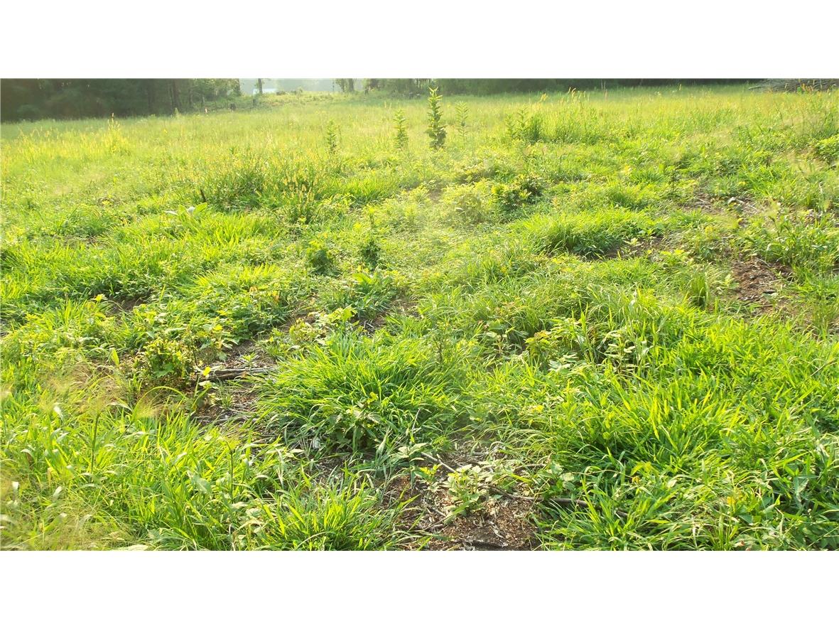 90 ACRES Kornstead Road Mellen WI 54546 1584791 image42