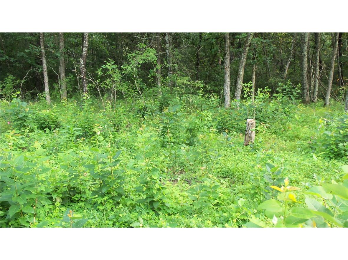 90 ACRES Kornstead Road Mellen WI 54546 1584791 image45