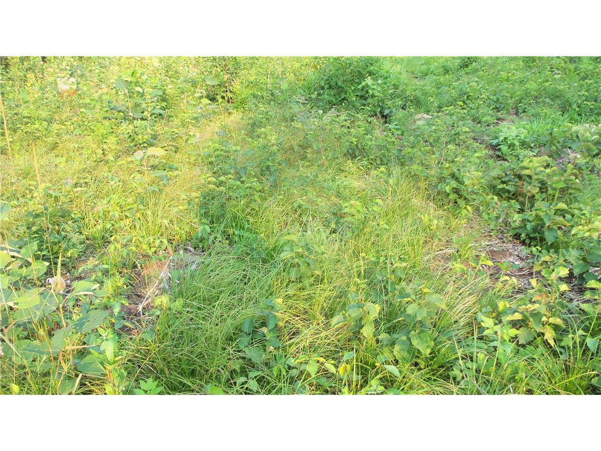 90 ACRES Kornstead Road Mellen WI 54546 1584791 image47