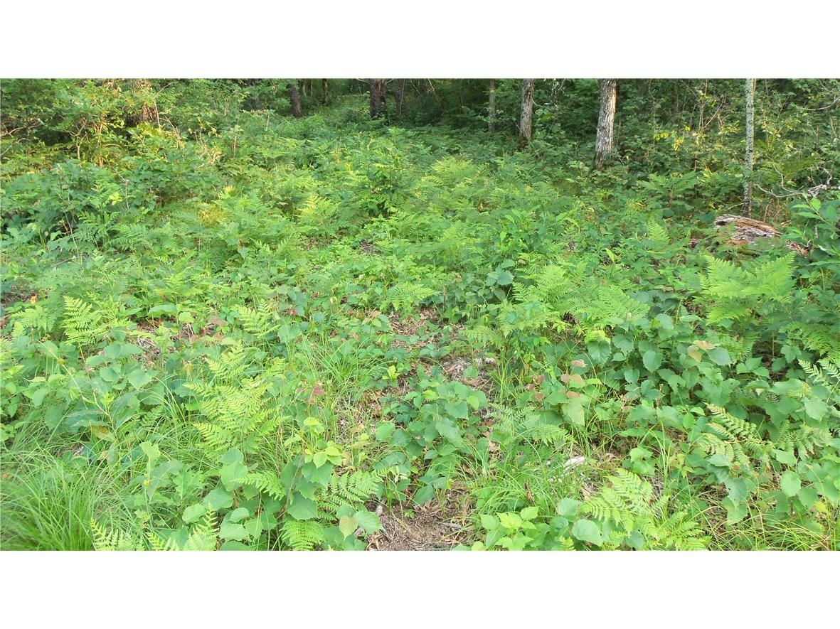 90 ACRES Kornstead Road Mellen WI 54546 1584791 image48