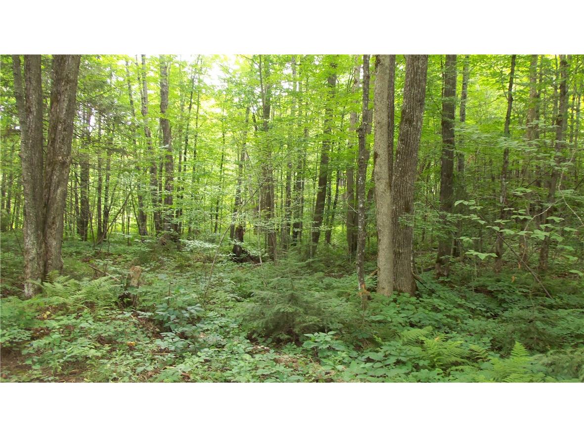 90 ACRES Kornstead Road Mellen WI 54546 1584791 image5