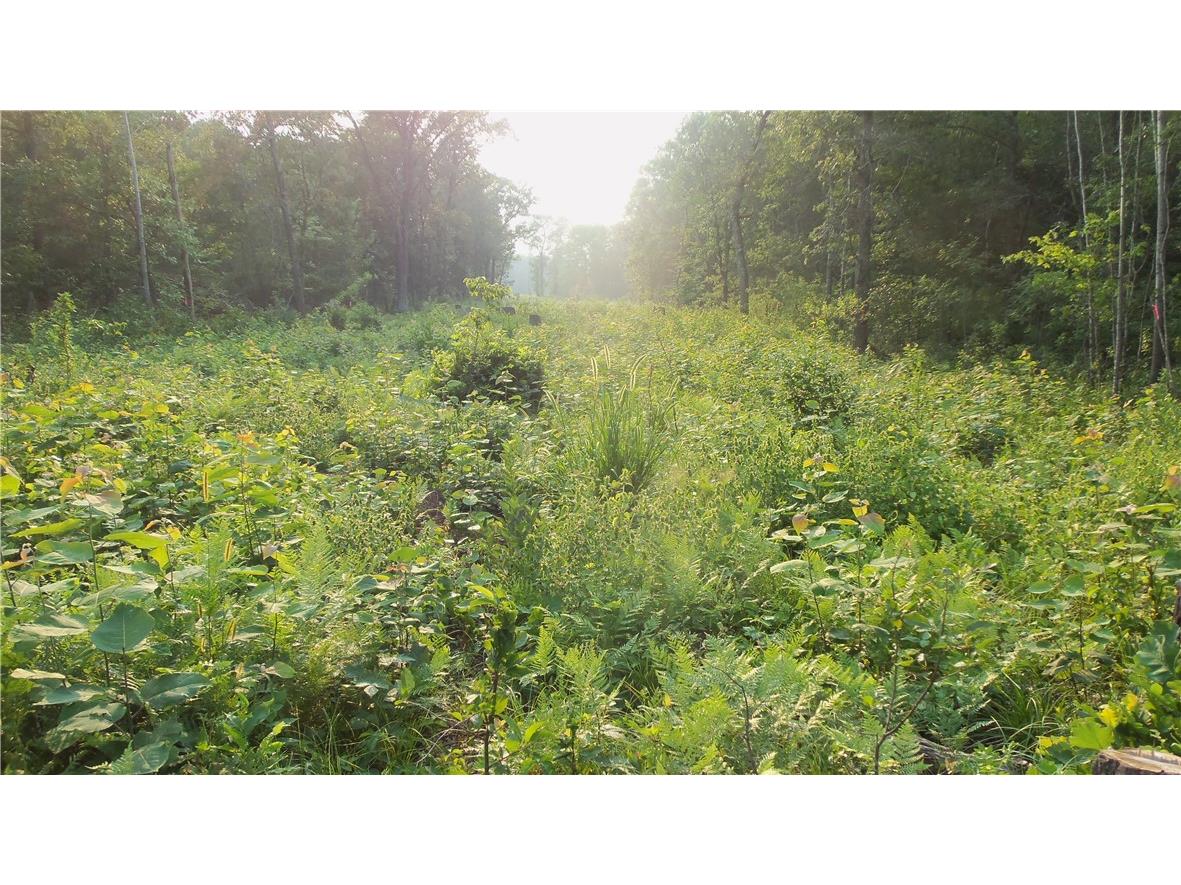 90 ACRES Kornstead Road Mellen WI 54546 1584791 image51