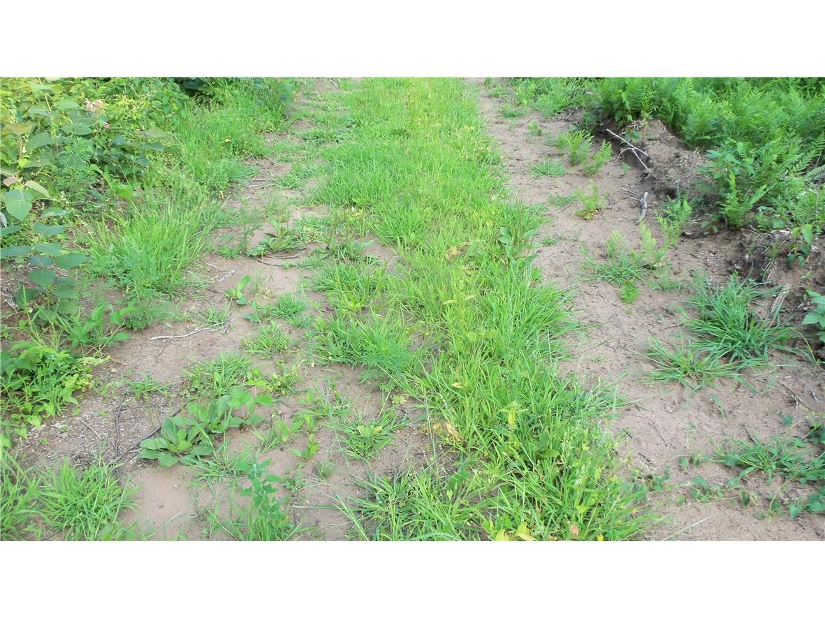 90 ACRES Kornstead Road Mellen WI 54546 1584791 image53