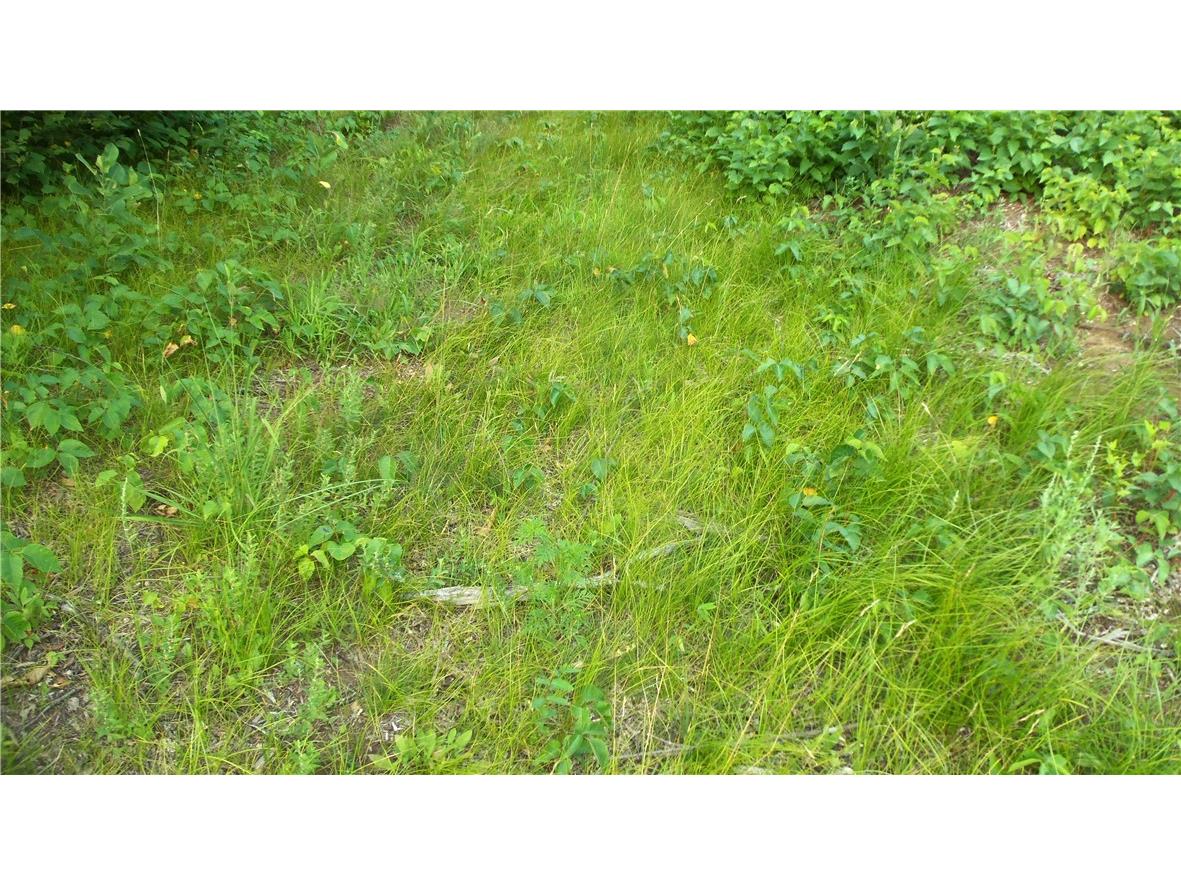 90 ACRES Kornstead Road Mellen WI 54546 1584791 image54