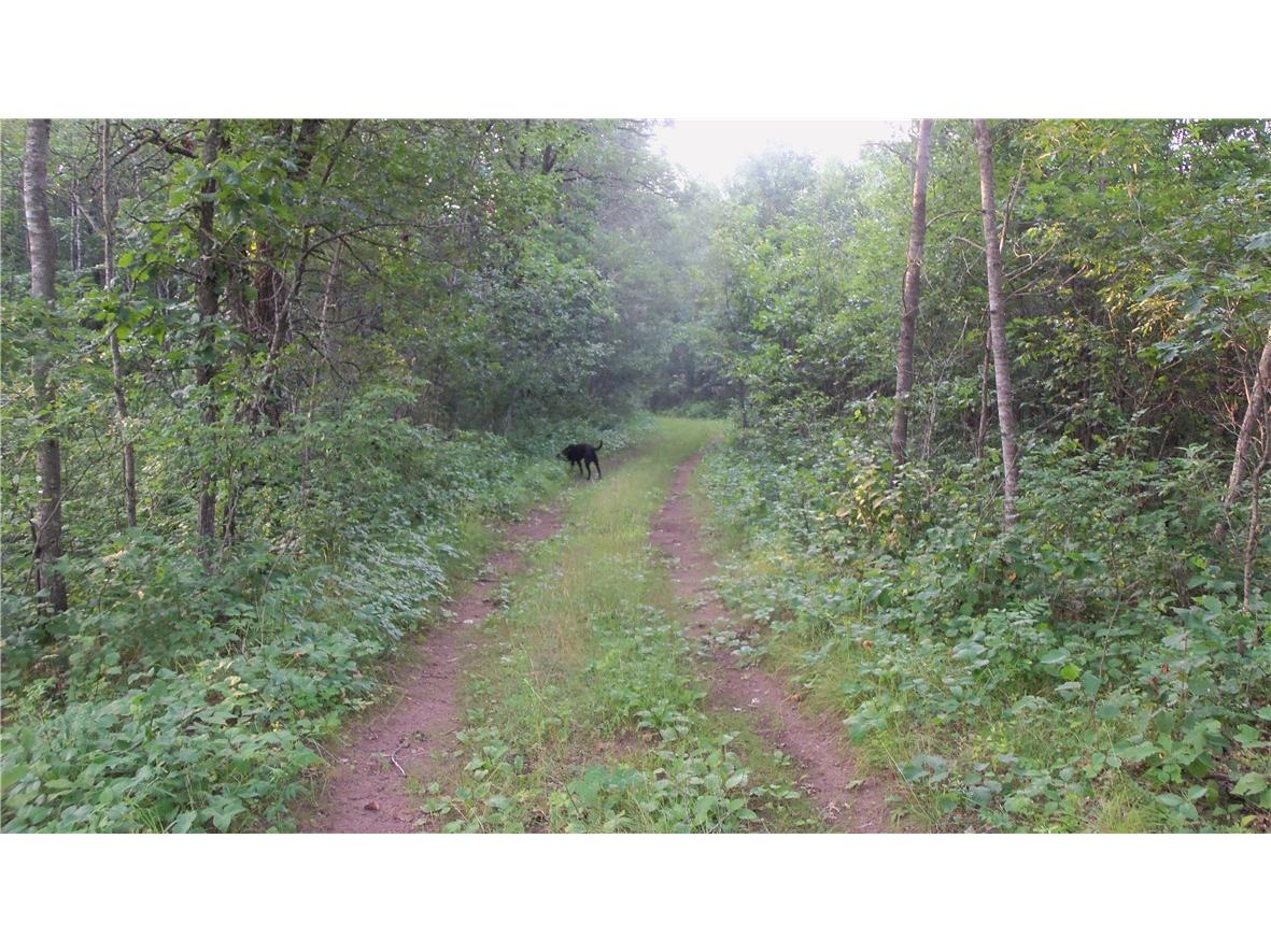 90 ACRES Kornstead Road Mellen WI 54546 1584791 image55