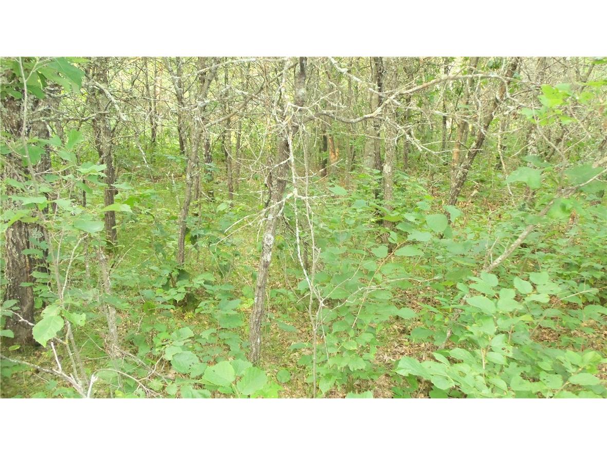 90 ACRES Kornstead Road Mellen WI 54546 1584791 image56