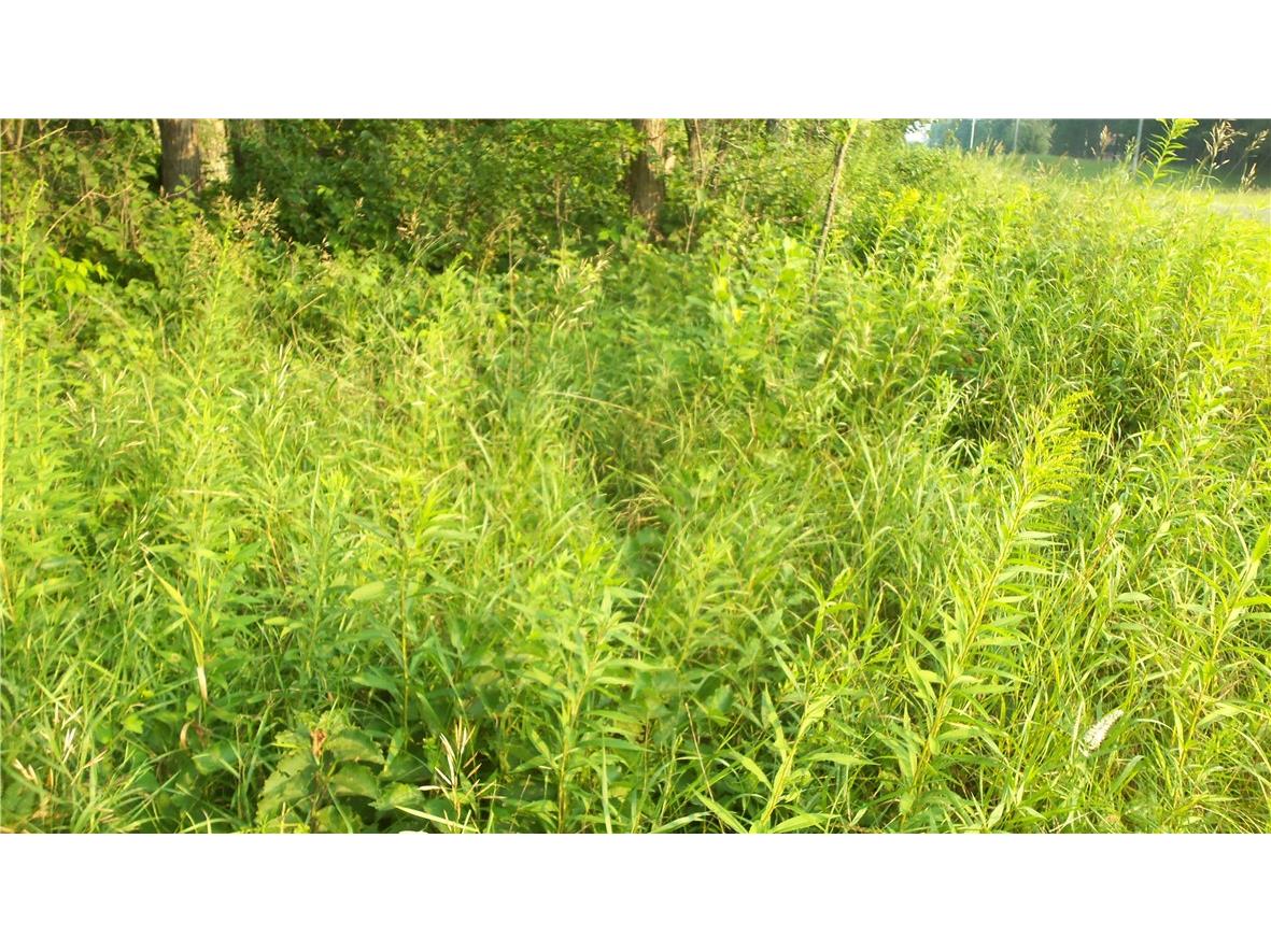 90 ACRES Kornstead Road Mellen WI 54546 1584791 image57