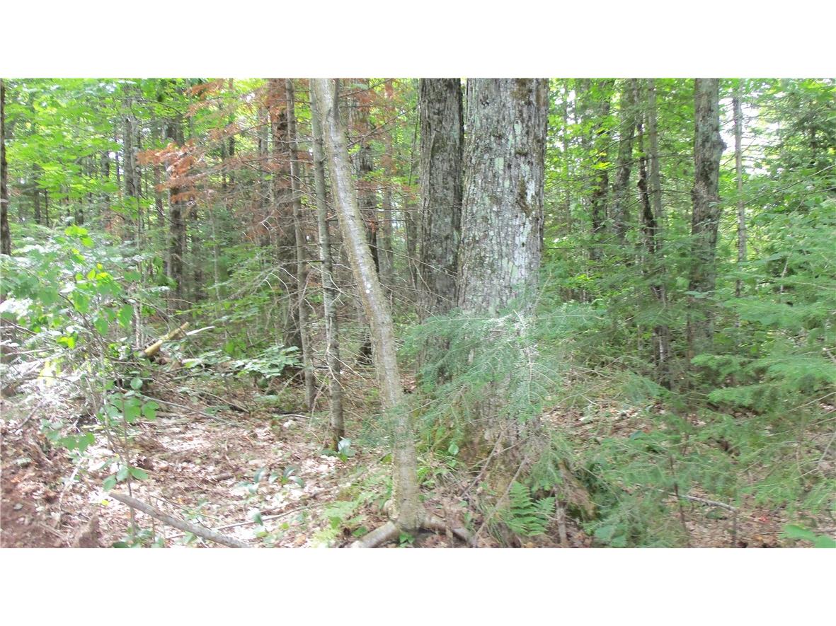 90 ACRES Kornstead Road Mellen WI 54546 1584791 image6