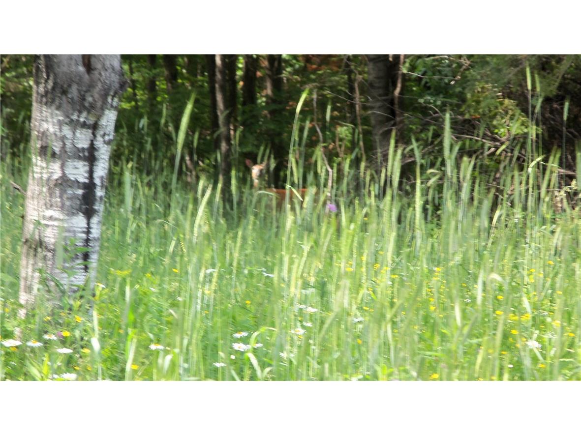 90 ACRES Kornstead Road Mellen WI 54546 1584791 image8