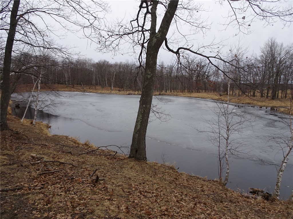 900 270th Luck WI 54853 - POND 1589734 image12