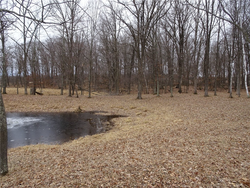 900 270th Luck WI 54853 - POND 1589734 image15