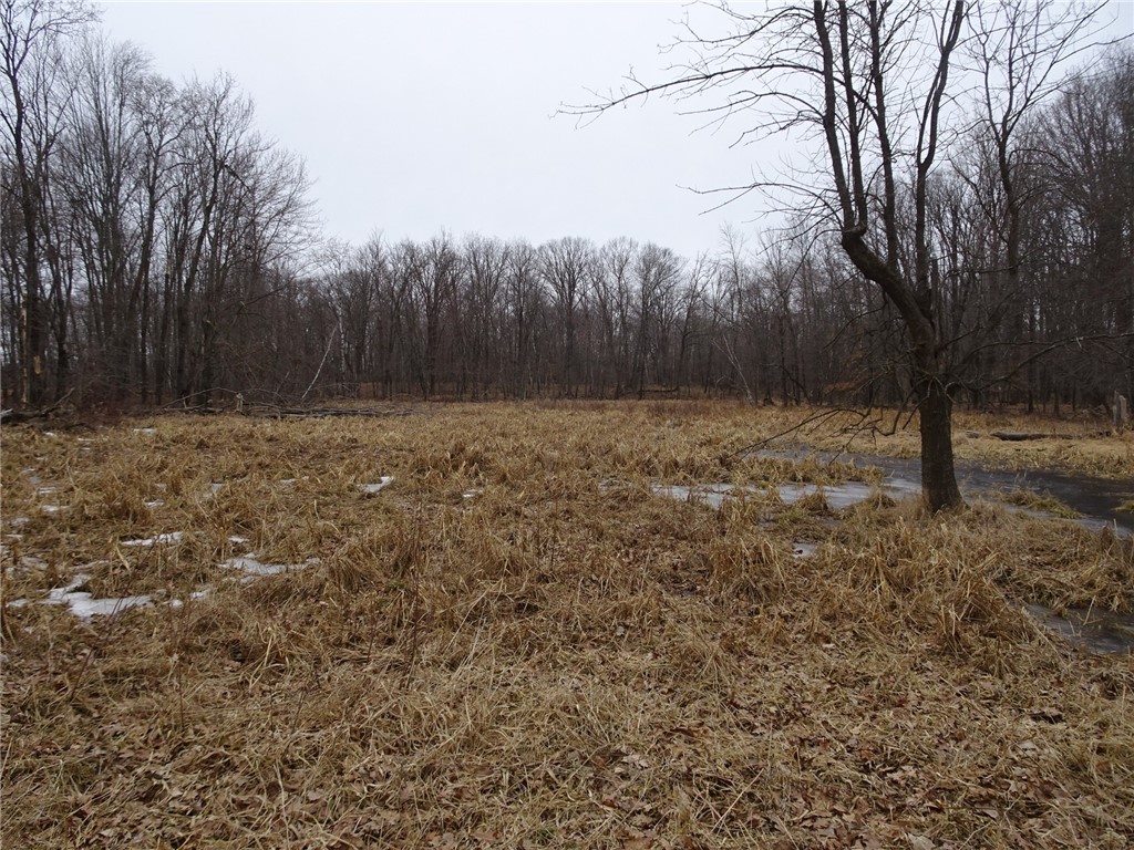 900 270th Luck WI 54853 - POND 1589734 image19