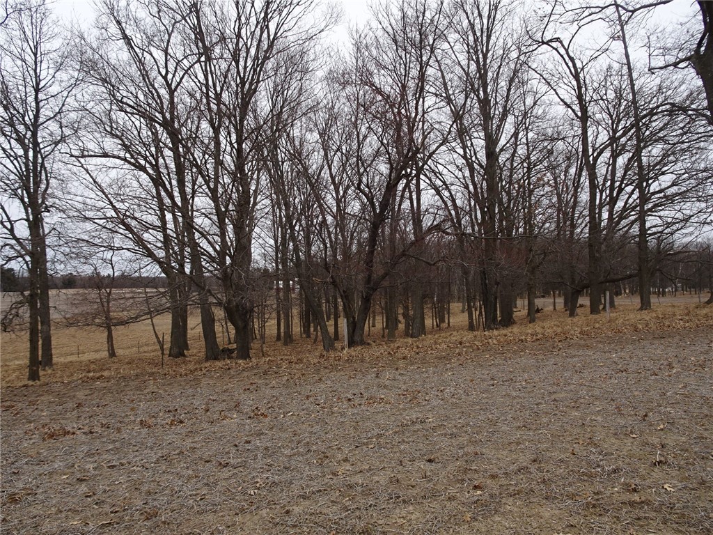 900 270th Luck WI 54853 - POND 1589734 image22