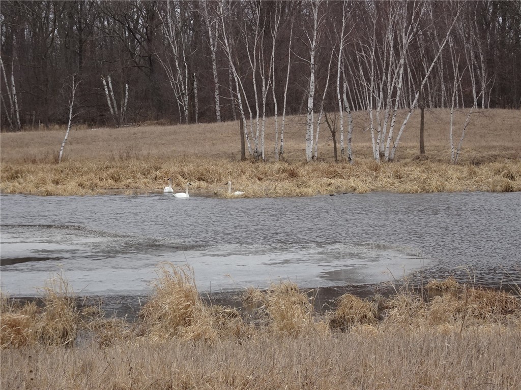 900 270th Luck WI 54853 - POND 1589734 image24