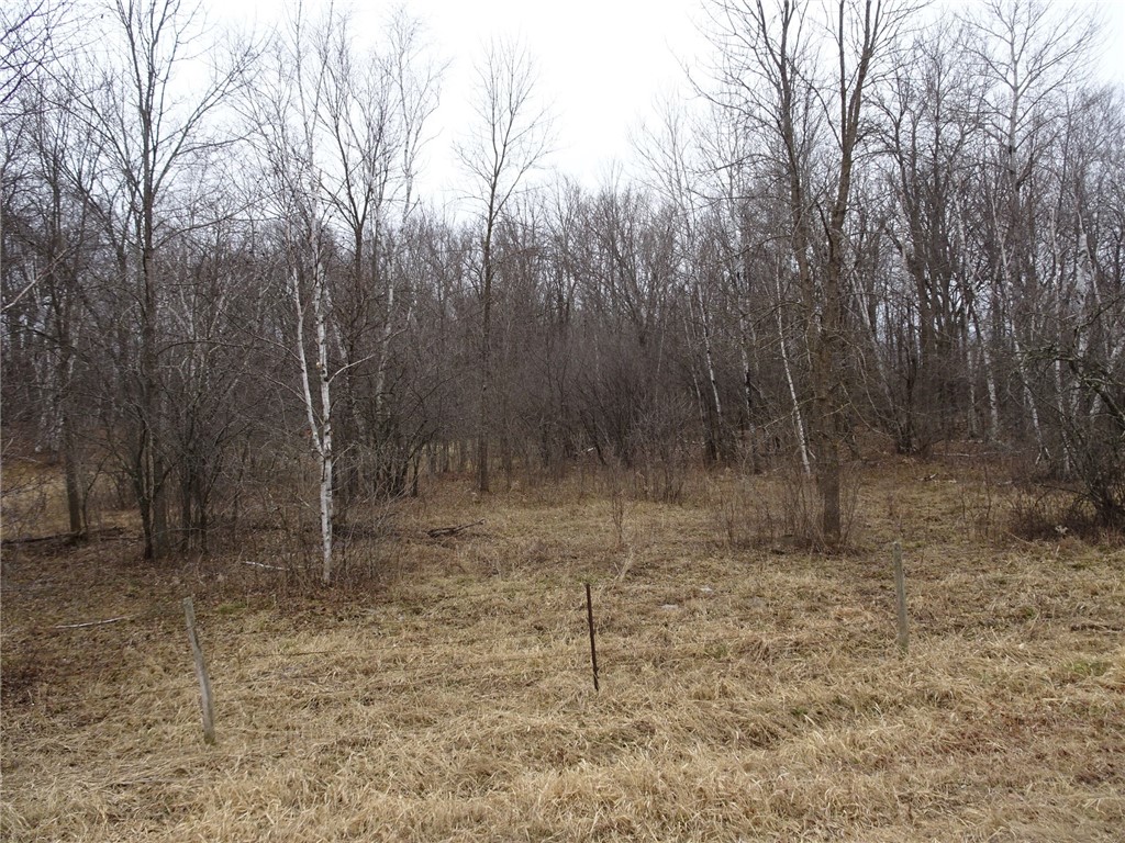 900 270th Luck WI 54853 - POND 1589734 image25