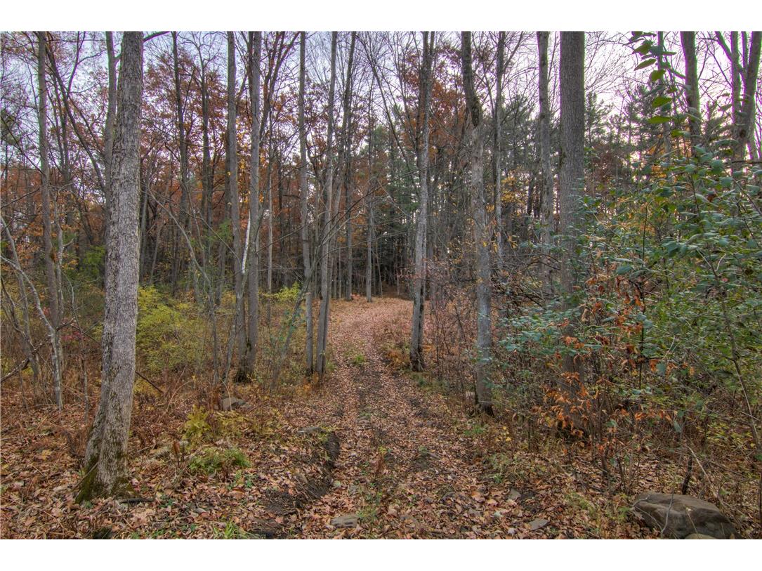 901 Riverside Drive Cornell WI 54732 1586731 image30