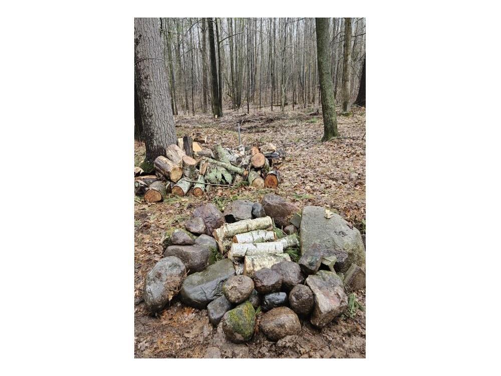 9011 Cty Hwy D Holcombe WI 54745 1572516 image1