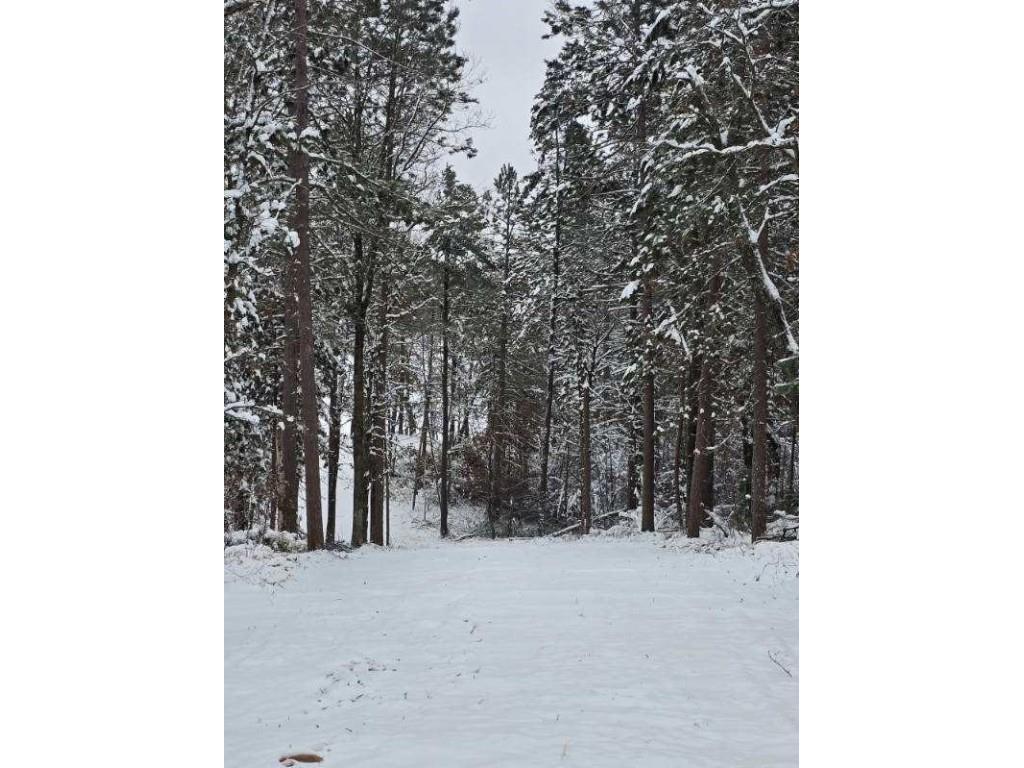 9019 W Wood Duck Lane Minong WI 54859 - Nancy 1597440 image14