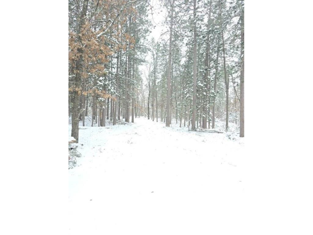 9019 W Wood Duck Lane Minong WI 54859 - Nancy 1597440 image15