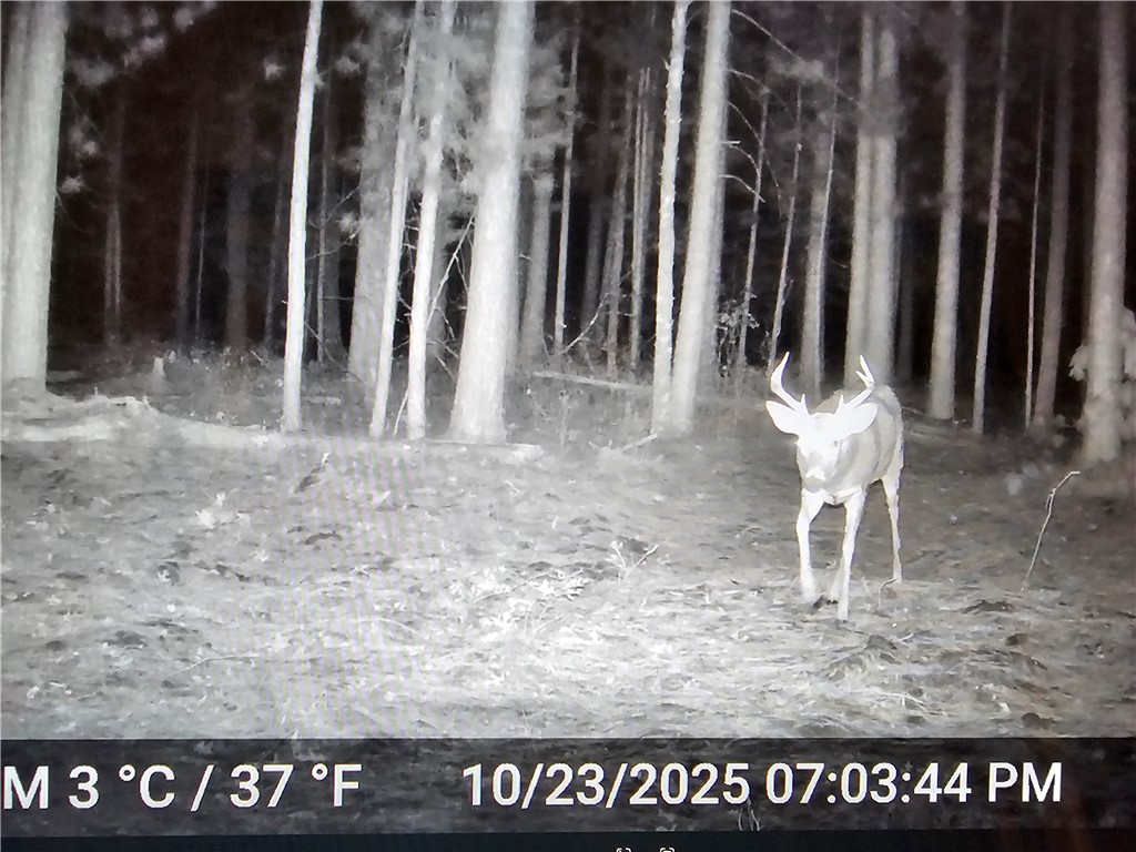 9019 W Wood Duck Lane Minong WI 54859 - Nancy 1597440 image17