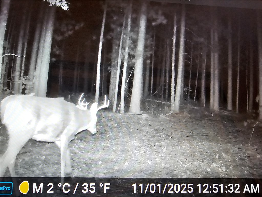 9019 W Wood Duck Lane Minong WI 54859 - Nancy 1597440 image20