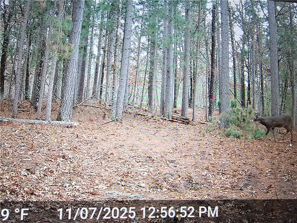 9019 W Wood Duck Lane Minong WI 54859 - Nancy 1597440 image21