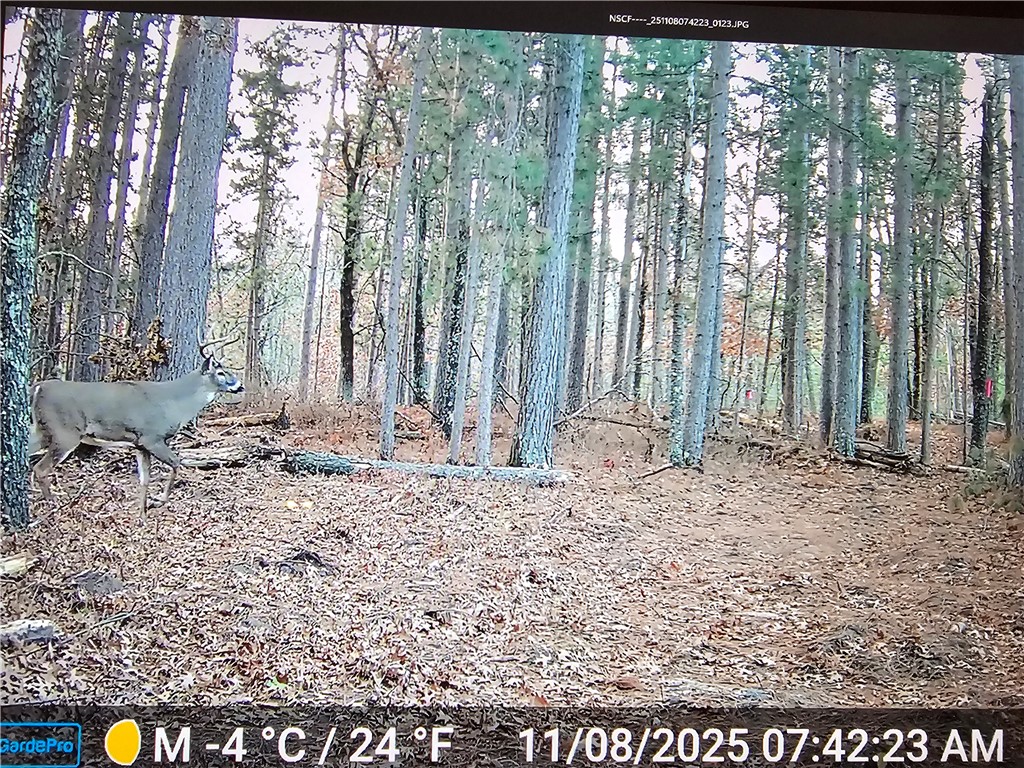 9019 W Wood Duck Lane Minong WI 54859 - Nancy 1597440 image23