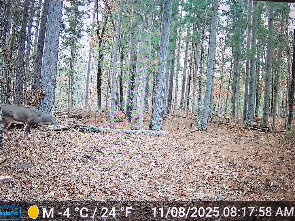 9019 W Wood Duck Lane Minong WI 54859 - Nancy 1597440 image24