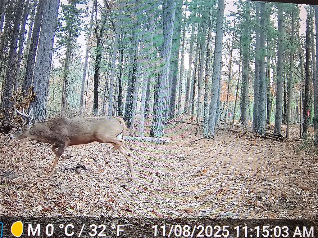 9019 W Wood Duck Lane Minong WI 54859 - Nancy 1597440 image25