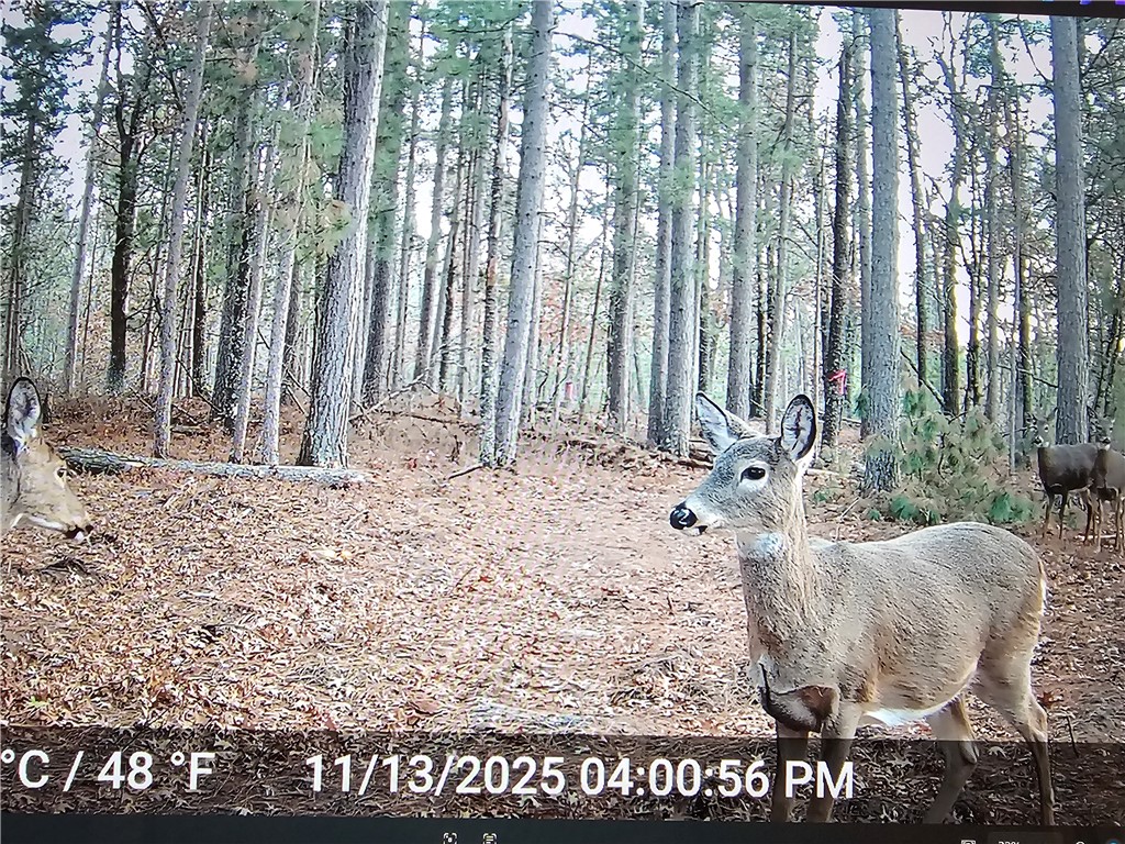 9019 W Wood Duck Lane Minong WI 54859 - Nancy 1597440 image26