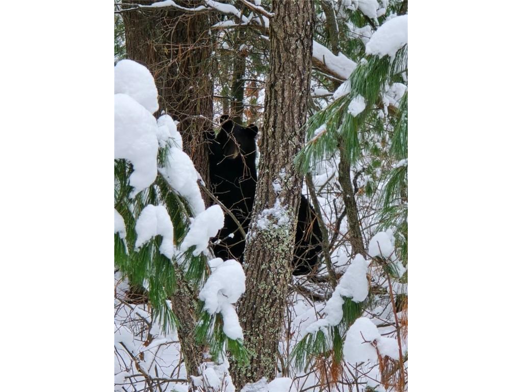 9019 W Wood Duck Lane Minong WI 54859 - Nancy 1597440 image27