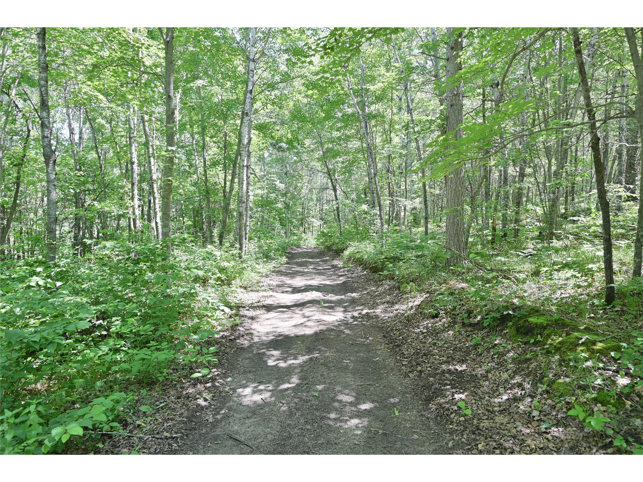 9036 Ashtons Way Webster WI 54893 - POND 1599690 image3