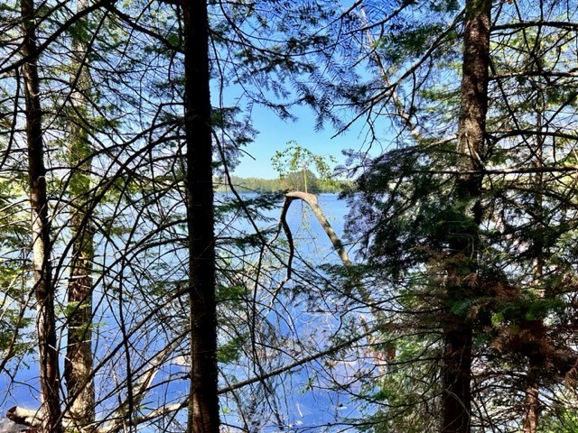 9049 N Ryndak Road Hayward WI 54843 - Spring 1571281 image1