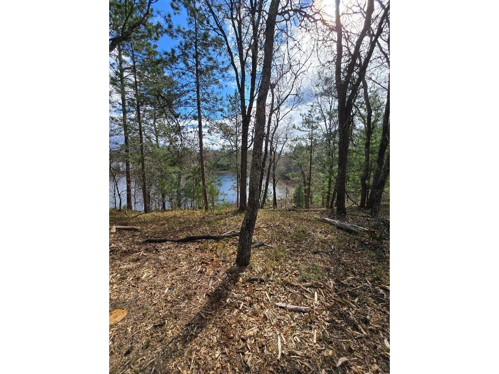 9054 W Wood Duck Ln Minong WI 54859 - Nancy 1598852 image2