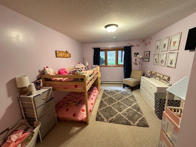 9063N Anderson Road Hayward WI 54843 1600770 image18