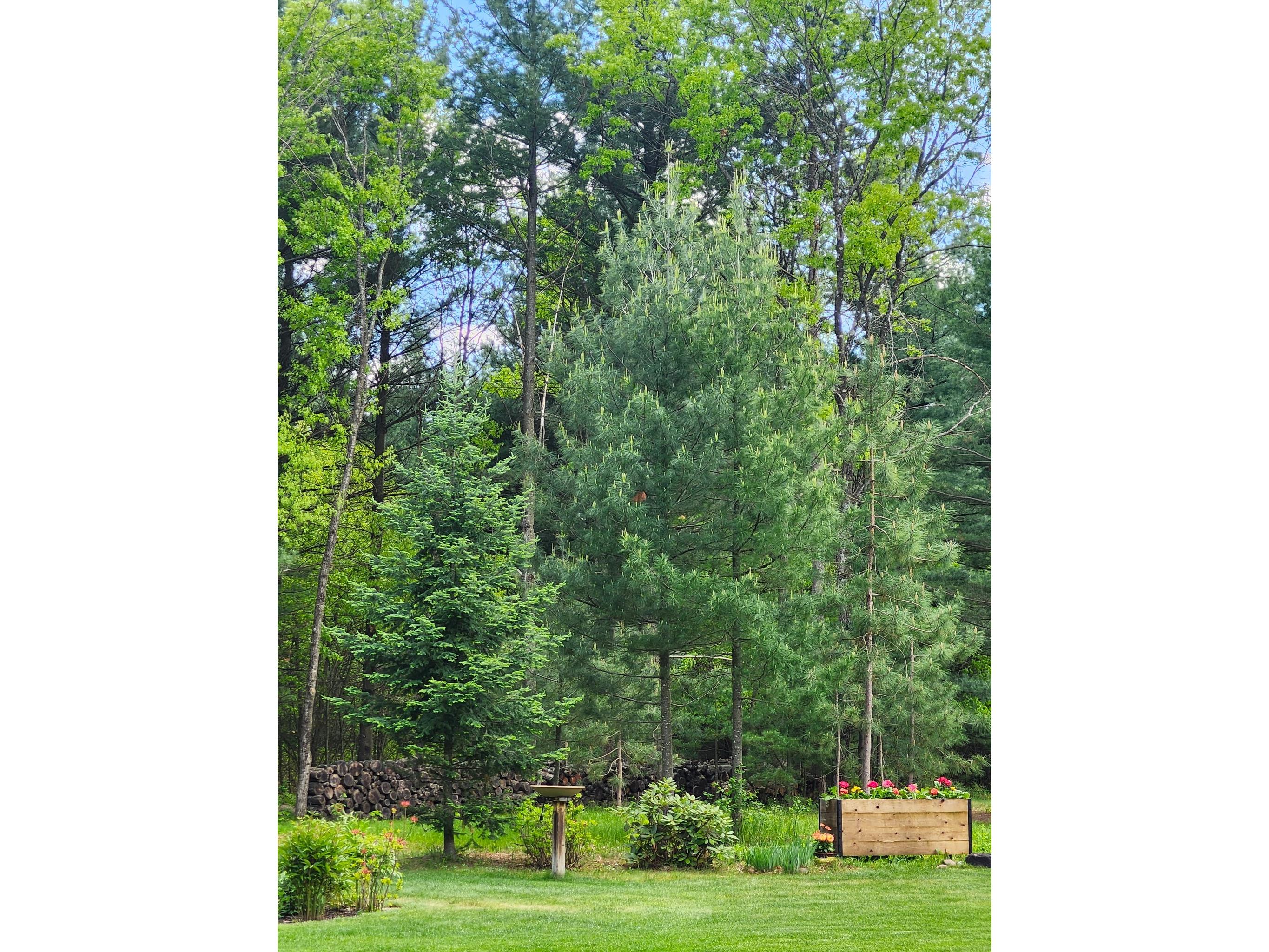 909 Thistle Lane Eau Claire WI 54703 1599640 image56